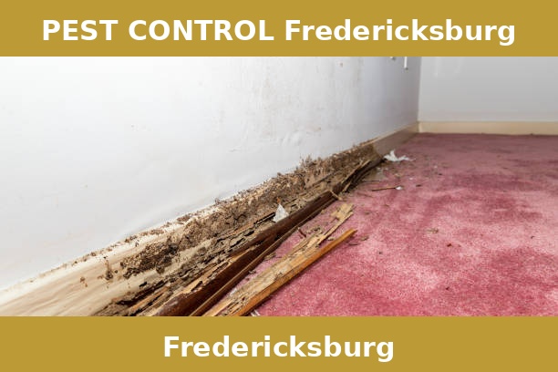 PEST CONTROL Fredericksburg
